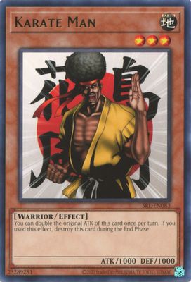 Karate Man