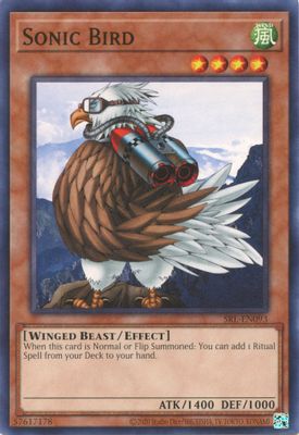 Sonic Bird