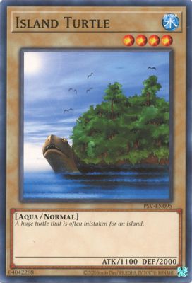 Island Turtle
