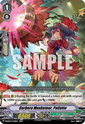 Gerbera Musketeer, Pollette