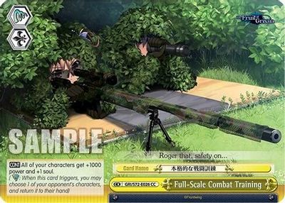 Full-Scale Combat Training