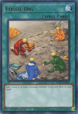 Fossil Dig