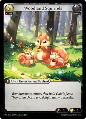 Woodland Squirrels