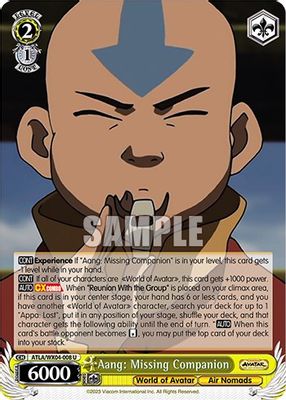 Aang: Missing Companion