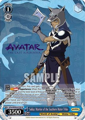 Sokka: Warrior of the Southern Water Tribe (SP)