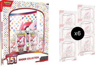 151 Binder Collection Case