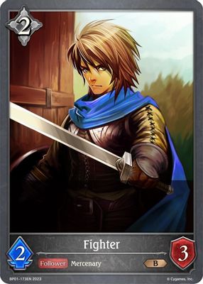 Fighter