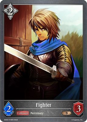 Fighter