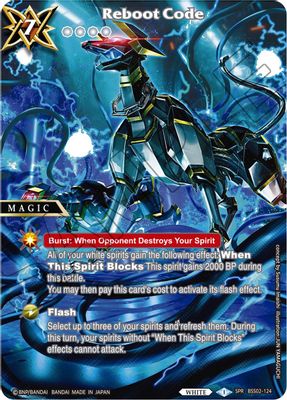 Reboot Code (SPR)