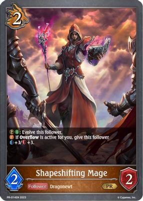 Shapeshifting Mage