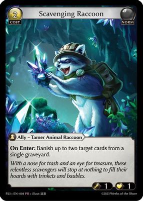 Scavenging Raccoon