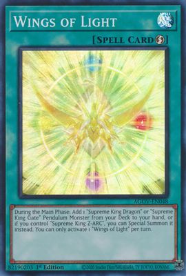 Wings of Light