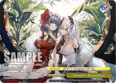Owner's Favorites? (PR)