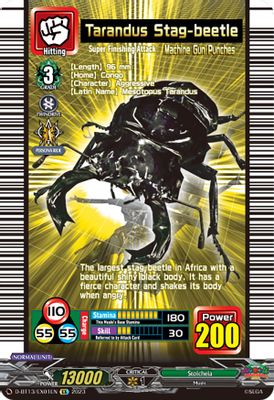 Tarandus Stag-beetle
