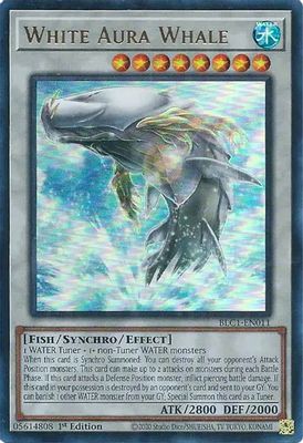 White Aura Whale