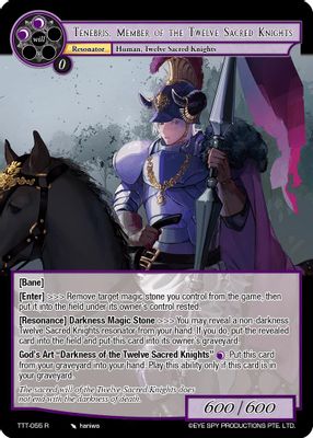 Tenebris, Member of the Twelve Sacred Knights