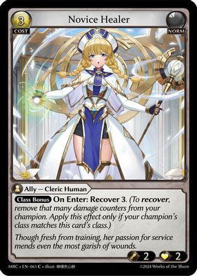 Novice Healer