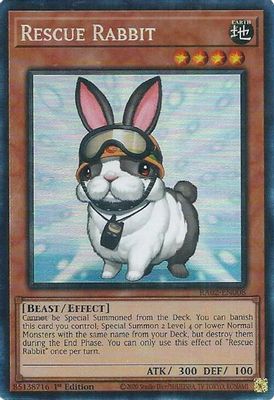 Rescue Rabbit (PCR)