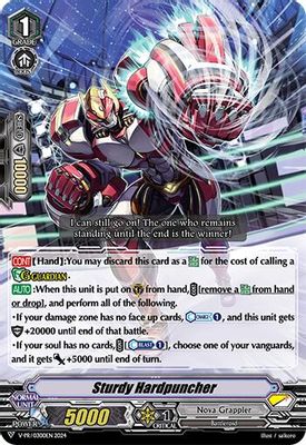 Sturdy Hardpuncher