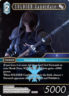 SOLDIER Candidate (23-031C)