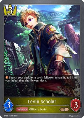 Levin Scholar