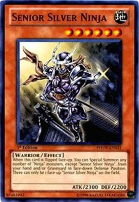 Senior Silver Ninja
