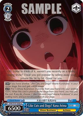 Like Cats and Dogs? Kana Arima