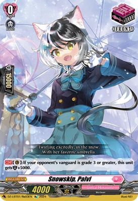 Snowskip, Palvi