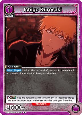 Ichigo Kurosaki (040)