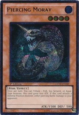 Piercing Moray (UTR)