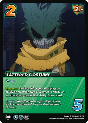 Tattered Costume
