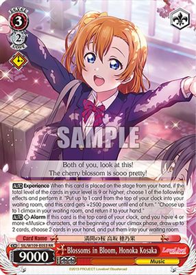 Blossoms in Bloom, Honoka Kosaka