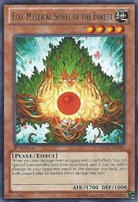 Eco, Mystical Spirit of the Forest