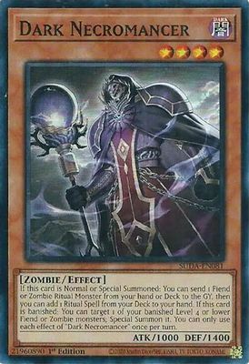 Dark Necromancer