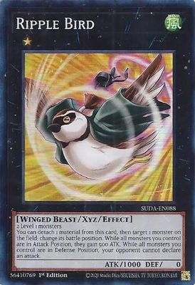 Ripple Bird