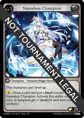 Nameless Champion (Assassin/Mage)