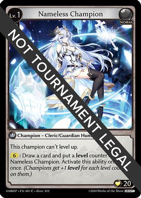 Nameless Champion (Cleric/Guardian)