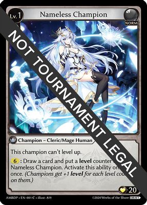 Nameless Champion (Cleric/Mage)