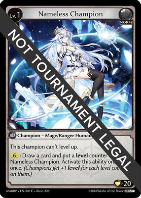 Nameless Champion (Mage/Ranger)
