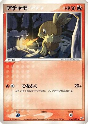Torchic