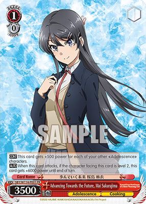 Advancing Towards the Future, Mai Sakurajima (PR)