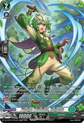 Pledge Trifolium, Reipens (SR)