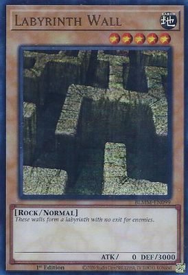 Labyrinth Wall