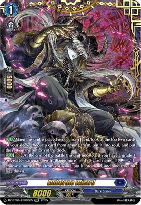 Elaborate Wizard (FFR)