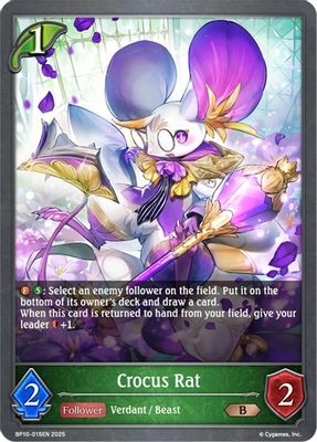Crocus Rat