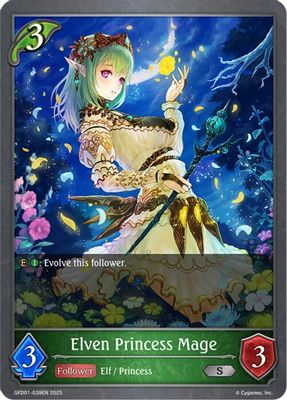 Elven Princess Mage