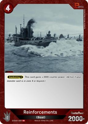 Reinforcements (ESD01-009)