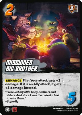 Misguided Big Brother