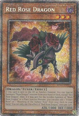 Red Rose Dragon