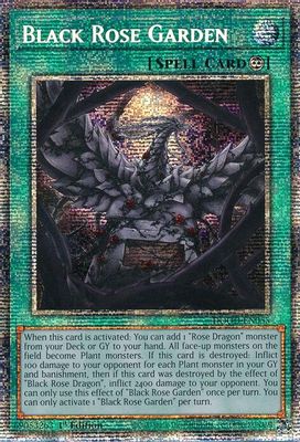 Black Rose Garden (Starlight Rare)